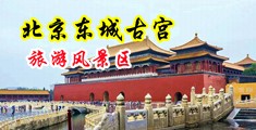 大吊插嫩逼视频观看中国北京-东城古宫旅游风景区